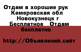 Отдам в хорошие рук  - Кемеровская обл., Новокузнецк г. Бесплатное » Отдам бесплатно   